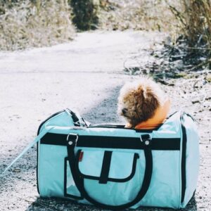 312 Hideaway™ Duffel - Pet Carrier