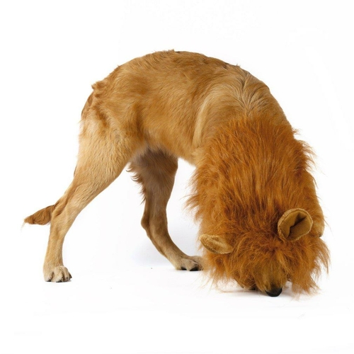 Lion Theme Dog Wig - Image 2