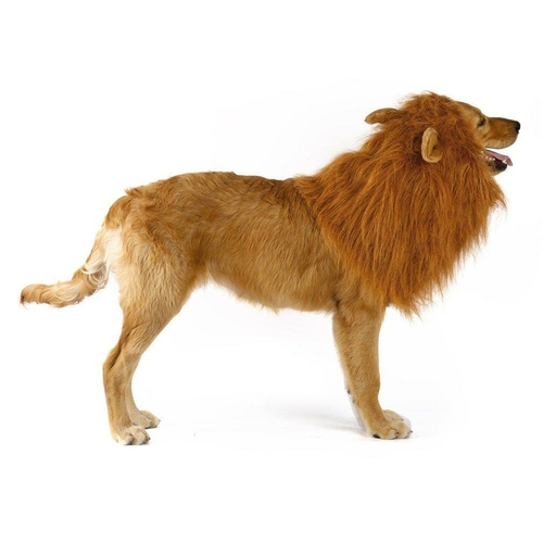 Lion Theme Dog Wig - Image 4